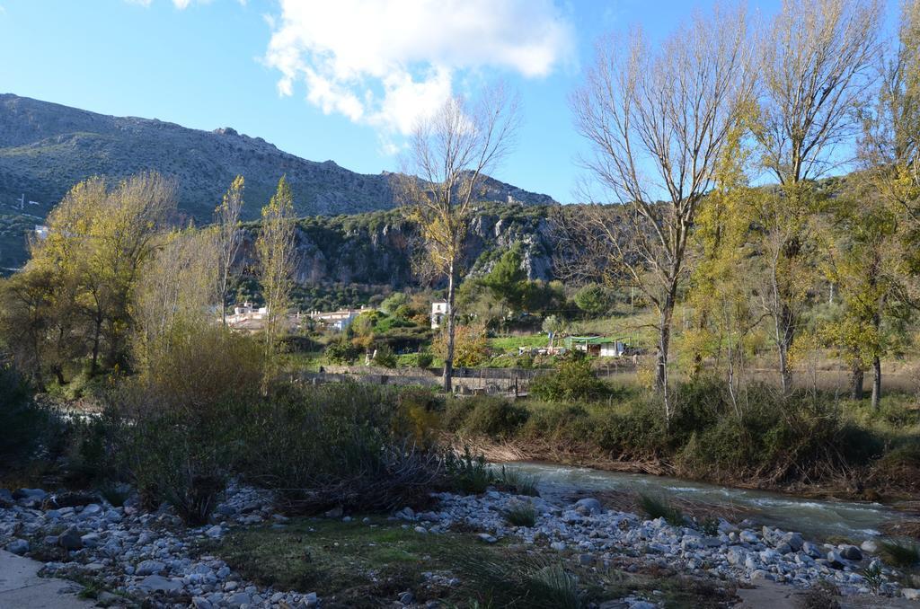 Villa Cristina Benaoján Rum bild